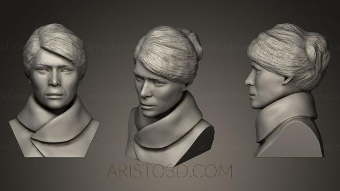 Busts and bas-reliefs of famous people (BUSTC_0417) 3D model for CNC machine